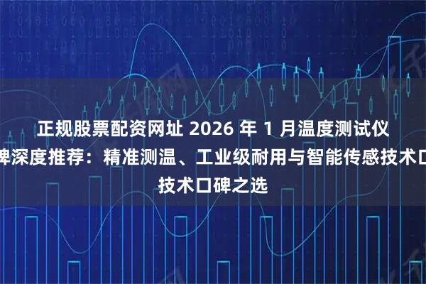 正规股票配资网址 2026 年 1 月温度测试仪实力品牌深度推荐：精准测温、工业级耐用与智能传感技术口碑之选