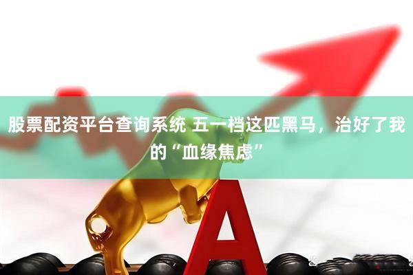 股票配资平台查询系统 五一档这匹黑马，治好了我的“血缘焦虑”